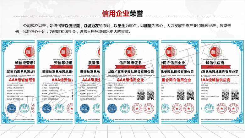 湖南柏嘉兄弟園林建設(shè)有限公司-企業(yè)宣傳 - 副本_16.jpg